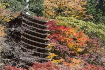談山神社