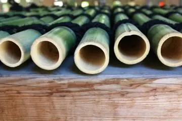 <p>Banbu menjadi penutup alam yang menarik untuk palung kayu.</p>