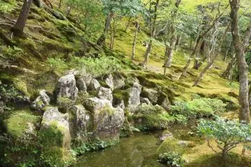 <p>Lereng penuh lumut di Ginkakuji, pavilion perak. &nbsp;Taman di Kyoto sangat terpelihara sehingga jarang melihat daun berserakan di sana.</p>