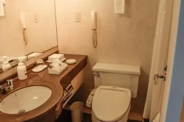 Western-style bathroom
