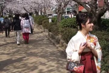 Kimono and Sakura - a lovely combination