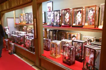 The Doll History Museum showroom displays boys' and girls' day dolls
