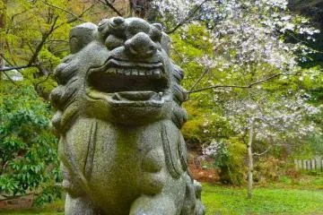 Stone guardian dog and cherry blossoms at Hanzobo