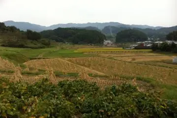 Asuka village