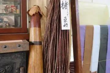 Pohon Kouzo