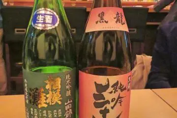 Kokuryu and Sagaminada Sake