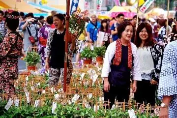 Photo: Tomoko Kamishima