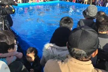 Miyako Salmon Festival