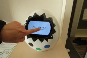 In-room robot