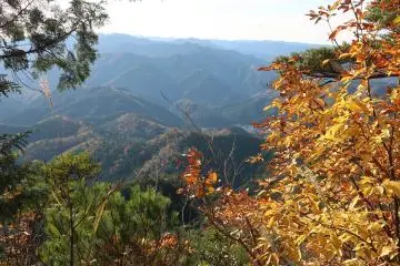 More amazing views from higher up