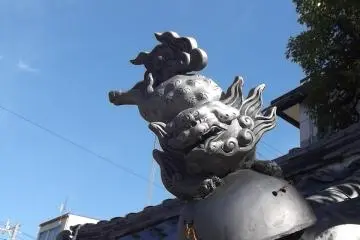 Don't forget to look up