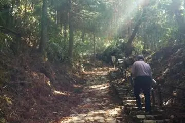 <p>Ce sentier m&egrave;ne au sommet</p>