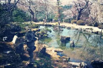 <p>&Ocirc; mont Yoshino! / Du sentier emprunt&eacute; l'an pass&eacute; / je m'&eacute;carterais / vers de nouveaux chemins / voir les cerisiers en fleurs</p>
