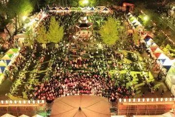 เทศกาล Saijo Sake Matsuri 2026