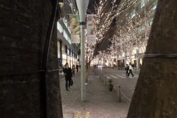 Grabbing a sneak peak from behind a tree