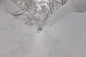 Le sentier pour le bain principal