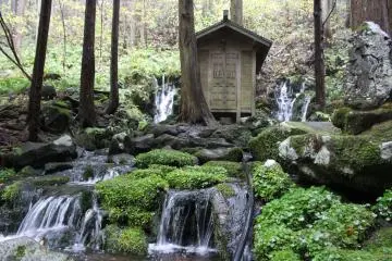 Gallery image