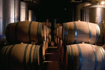 Oak Barrels in the Winery