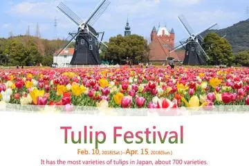 เทศกาลทิวลิป Huis Ten Bosch 2027