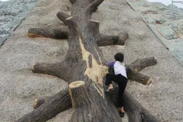 <p>The sloped area around the elevated observatin tower features a rope climb, rock climbing, and a fallen tree climb</p>