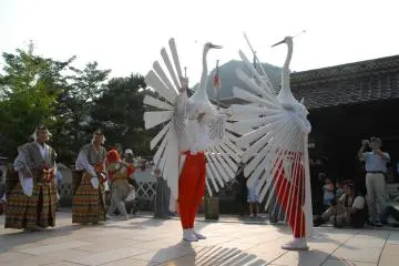 Heron Dance, the one with open beak is the male, and the one with the closed beak is the female