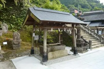 Purifcation