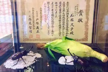 Gallery image