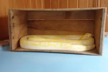 Tobu Zoo, Burmese python