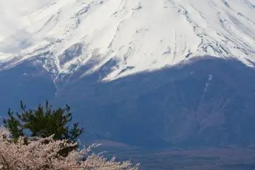 호숫가에 산책로가 있어 멋진 경치와 함께 쉬지 않고 쉽게 산책 가능하다