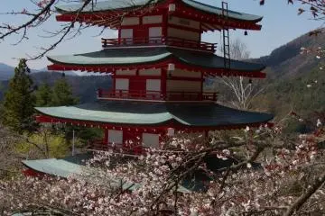 <p>La pagoda</p>