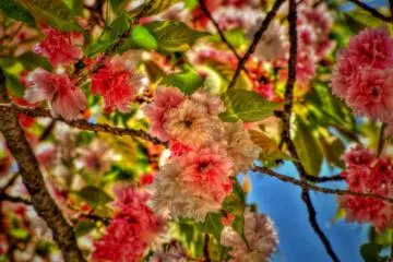 Spring is in the air!