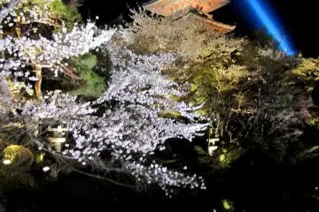 <p>ใช้เวลาสักครู่หนึ่งเพื่อเพลิดเพลินกับบรรยากาศที่งดงาม</p>