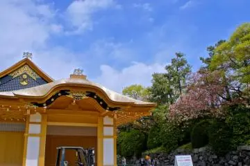 Beautiful colors