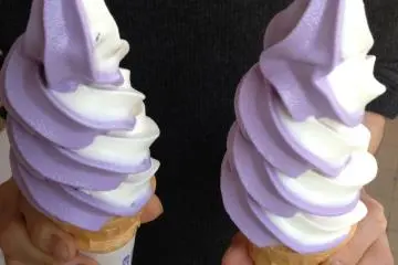 Wisteria flavored ice cream