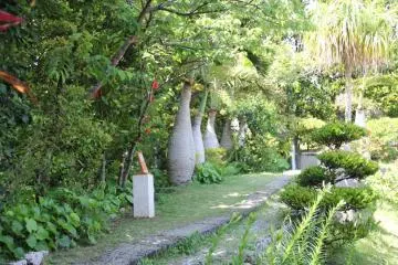 The Nakamura House is ringed by a beautifully groomed wooded and ornamental grass garden.