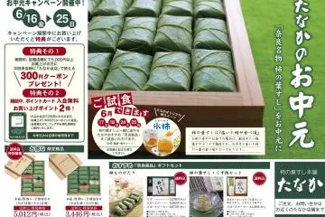 ของฝากที่เป็นเอกลักษณ์จากนารา คะคิโนะฮะ-ซูชิ (Kakinoha-zushi) ซูชิห่อด้วยใบพลับ!