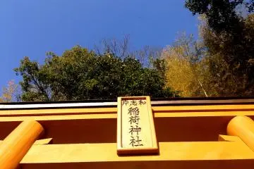 Do the sparrows and crows know it's New Year's Day in Japan?