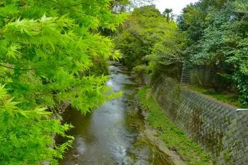 River near the end point of the course