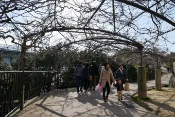 The pathway to Awaji Island Onion Beef Burger