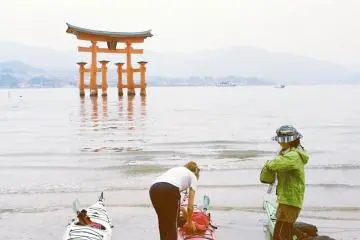 <p>La compagnie Paddle Park propose des balades en kayak &agrave; la journ&eacute;e. J'en ai profit&eacute; lors d'une de mes visites et c'&eacute;tait magique, je vous conseille fortement d'essayer!</p>