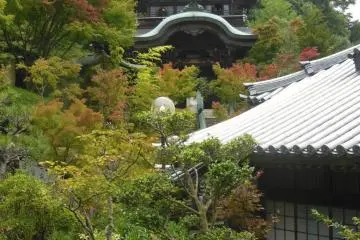 <p>Le Daishō-in, temple bouddhiste situ&eacute; sur l'&icirc;le de Miyajima. Il y a tellement de choses &agrave; voir que vous pourrez facilement y passer plusieurs heures.</p>
