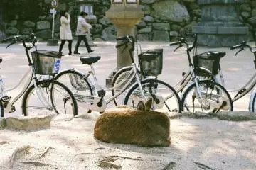 <p>Un daim trop mignon. Adorable!</p>