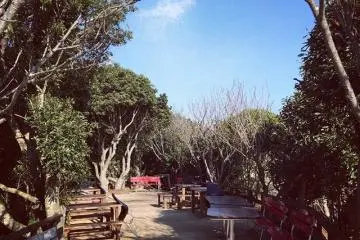 An area where couples can hang out!