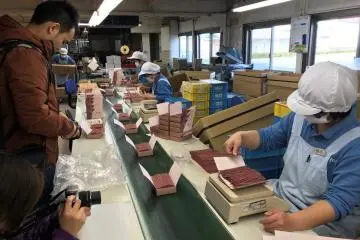 The packing chain during the tour