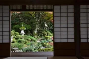 View from the first floor of the guest house