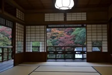View from the second floor, this time towards the road and Wa-raku-en in the background