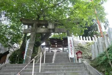 Gallery image