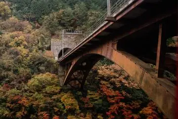 Wondering, what is this? It doesn't look like functional railroad. Probably it is one of the older lines.