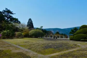Blue sky and fresh green