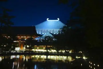 Todaiji illumination from a distance